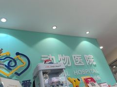 -美迦爱动物医院·夜诊(朝阳路诊疗中心)
