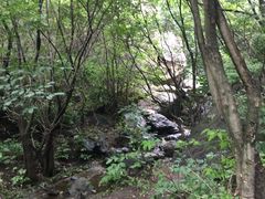 -白草畔自然风景区