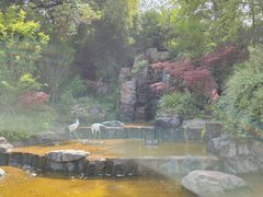 游乐设施-成都动物园