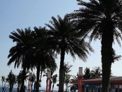 -玫瑰海岸文化旅游度假区