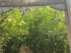 -深圳国际园林花卉博览园