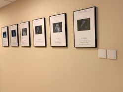 -杭州贝瑞斯美华妇儿医院·早孕·产检·儿科