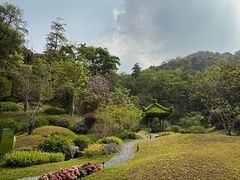 -云溪植物园