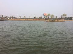 -明珠湖天鹅苑·农家菜馆