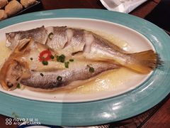 花雕醉黄鱼-寻宝记绍兴菜(鲁迅路店)