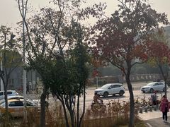 -武汉交通职业学院