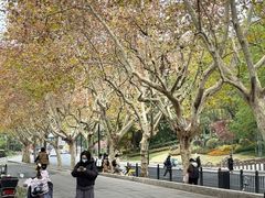 -Andrew指甲专科灰指甲·甲沟炎矫正·3D步态矫形鞋垫定制(上海法华镇路旗舰店)