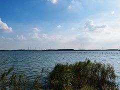 -漕湖湿地公园
