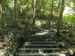 -火炉山森林公园