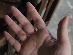 -浣熊柯尔鸭土拨鼠·电玩咖