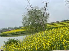 -乌村