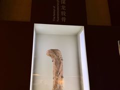 -世界恐龙谷景区