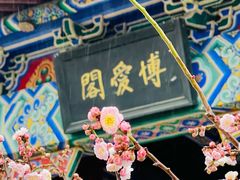 -梅花山(明孝陵内)