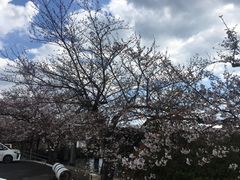 -三井奥特莱斯购物城(爵士之梦长岛店)