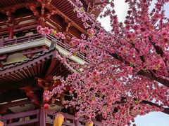 -秦始皇帝陵博物院(兵马俑)