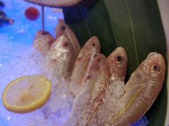 -好日子皇冠假日酒店·君怡咖啡厅(特美思大厦店)