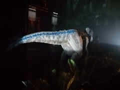 -侏罗纪世界电影特展(广州站)