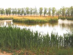 -野鸭湖国家湿地公园