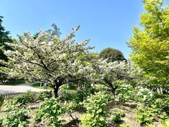 -江南大学(蠡湖校区)