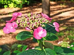 -共青国家森林公园-售票处