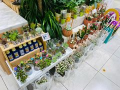-盒马鲜生(首义店)