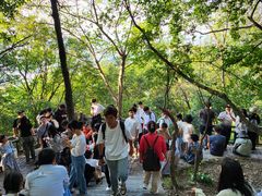 -紫金山山顶公园