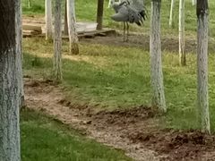 -艾溪湖湿地公园