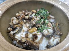 白鳝黄鳝双拼-红星光发煲仔饭(文海店)