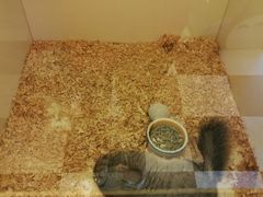 -龙猫仔乐园(惠福东路店)