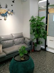 -兰瑜伽·普拉提