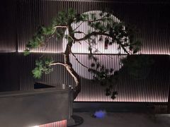 -大拙里·精致融合菜(沙湖桃源国际店)