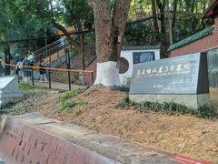-马王堆汉墓遗址