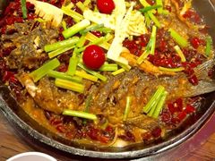 -老板恋上鱼(高新万达店)