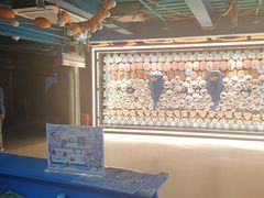 -海合安青岛极地海洋公园