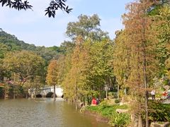 -云溪植物园