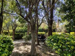 -洱海月湿地公园