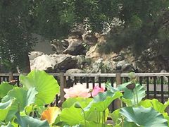 -宣武艺园