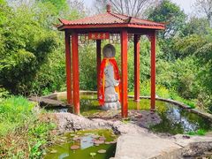 -巢湖姥山岛