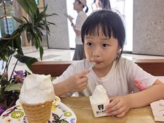 -野人先生Gelato(上海长宁龙之梦店)