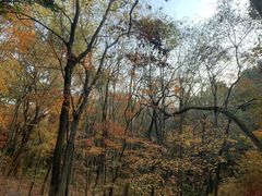 -杭州半山国家森林公园