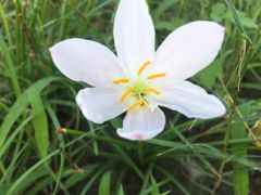 -白鹭湾湿地公园