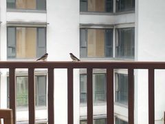 -苏州香山国际大酒店