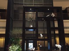 -舟山希尔顿酒店