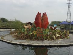 -白洋淀景区