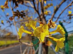 -光明小镇欢乐田园