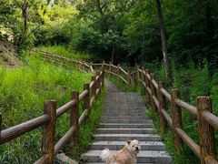 -白水寺森林公园