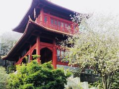 景点-南沙天后宫景区