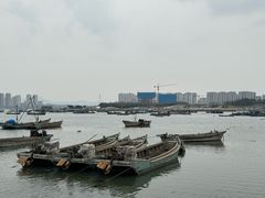 -养马岛旅游度假区