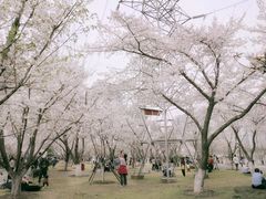 -西北湖绿化广场