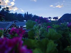 -木王宴语·野生鲜菌火锅(玉河店)